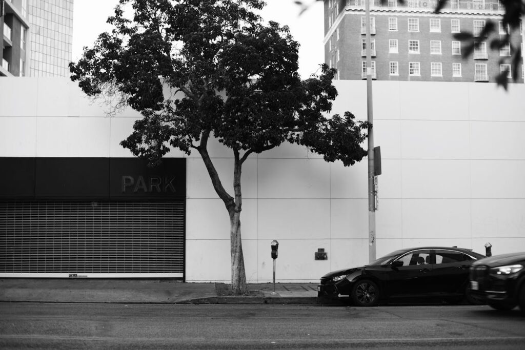 Monochrome street view with parked cars and tree in Los Angeles, California.